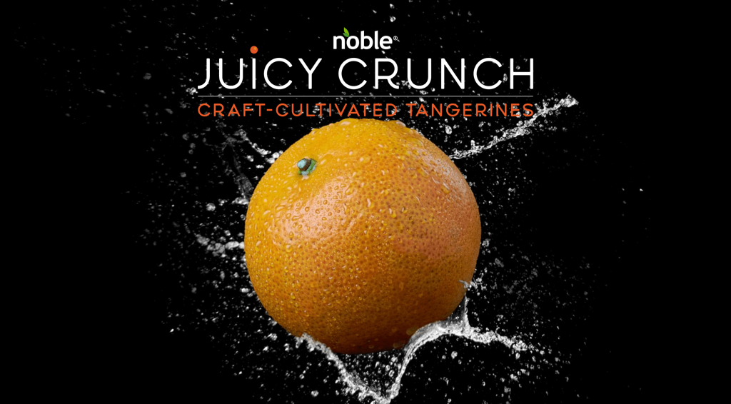 Noble Juicy Crunch® Tangerines, 2 lb - Harris Teeter