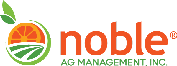 NAM Logo