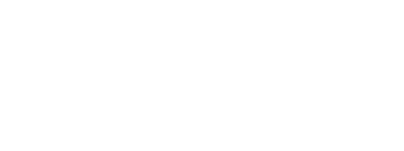 NAM logo