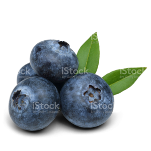 New Crop Blueberries
