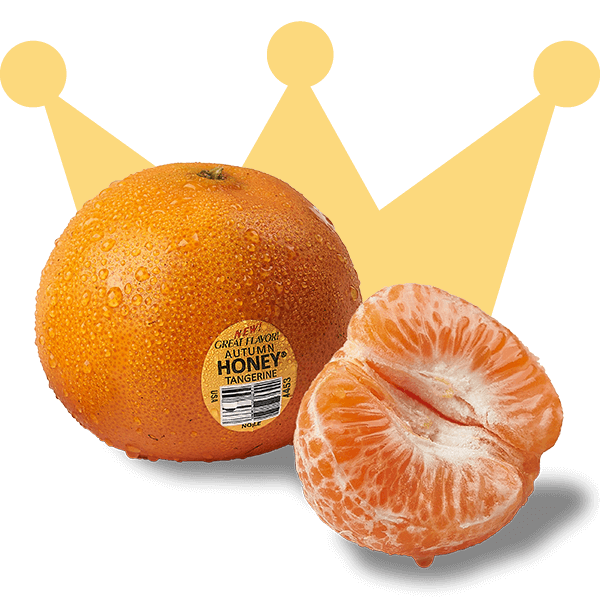 Autumn Honey tangerine in front of a crown watermark