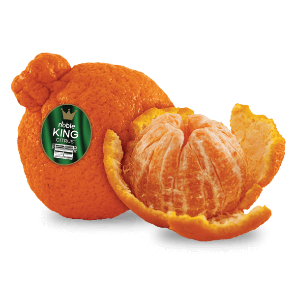 Noble King Citrus