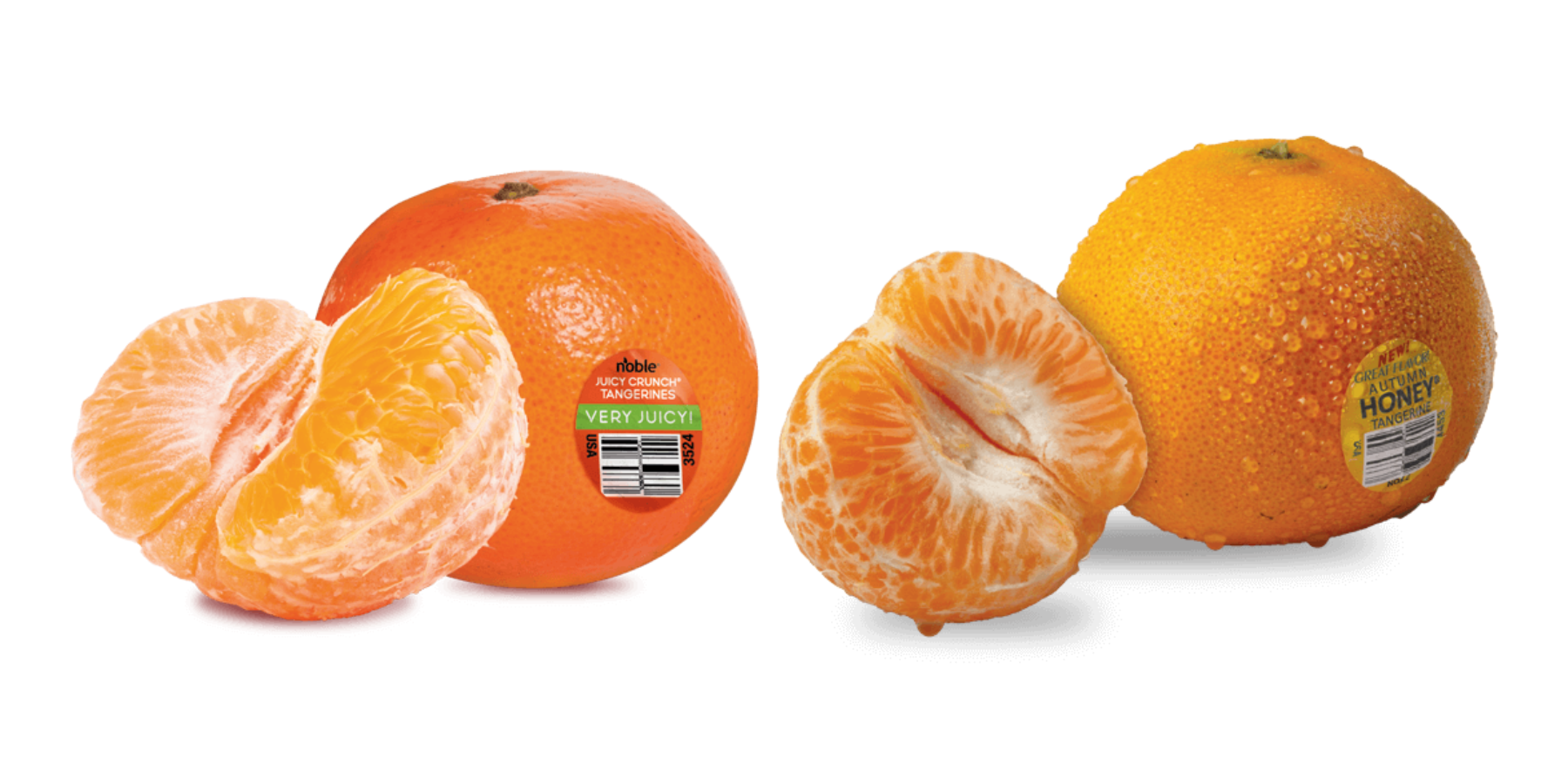 Noble Juicy Crunch and Autumn Honey tangerines