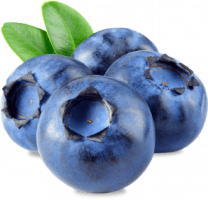 product-new-crop-blueberries